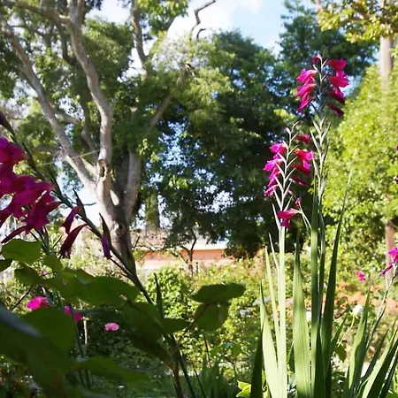 Garden House In Corfu *