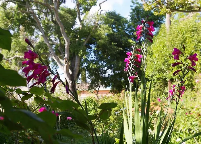 Garden House In Corfu *