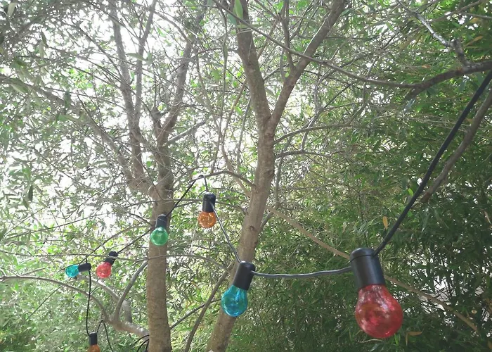 Garden House In Corfu 펜션 Corfu (city)