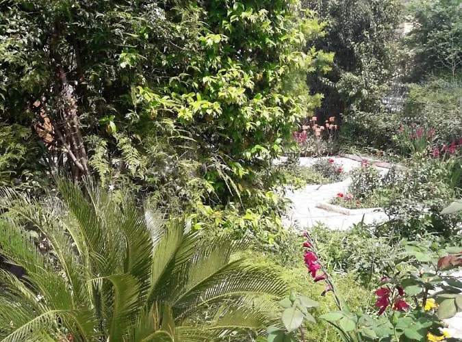 Garden House In Corfu * Corfu (city)