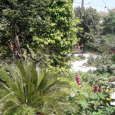 Garden House In Corfu * Corfu (city)